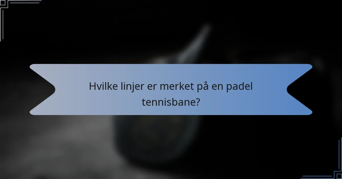 Hvilke linjer er merket på en padel tennisbane?